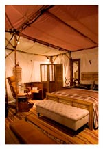 Safari & Expedition Furniture