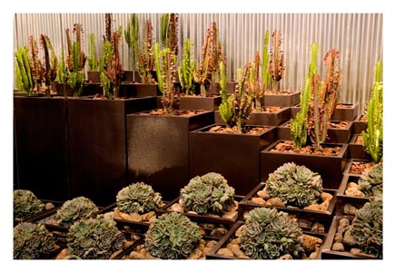 Kingfisher Landscaping